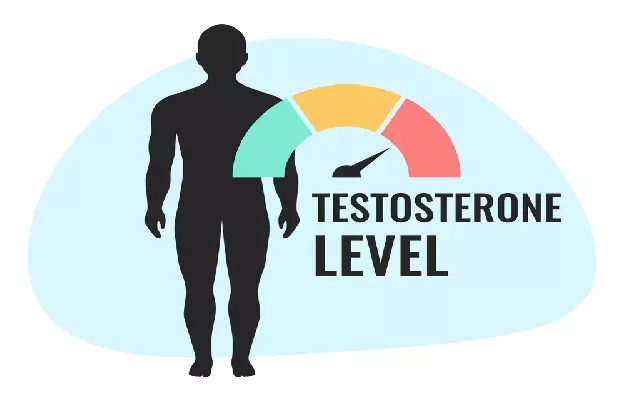 testo