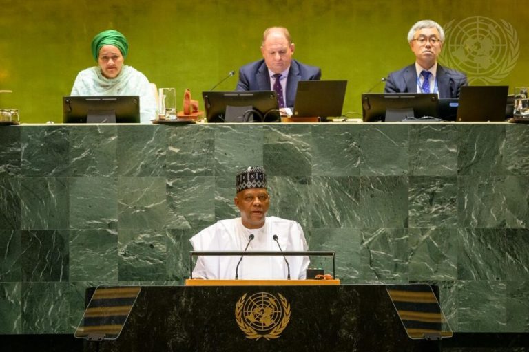 UNGA-Nigeria-1068x712