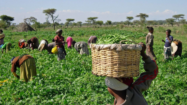 Nigerian-Farmers-