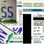 drivers-licence-number-plate