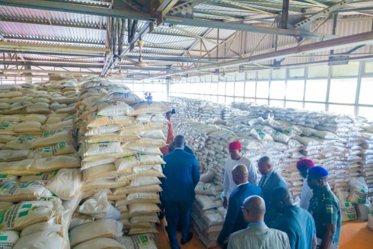 afdb-fg-set-to-partner-enugu-govt-on-development-of-special-agro-industrial-processing-zones1714678979-1024x682