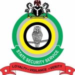 DSS-Logo