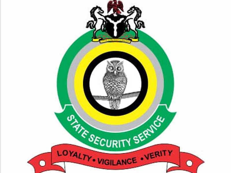 DSS-Logo