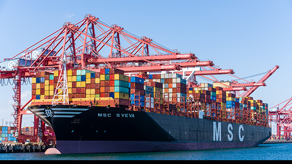 MSC-Sveva_TTI-Long-Beach-volume-record