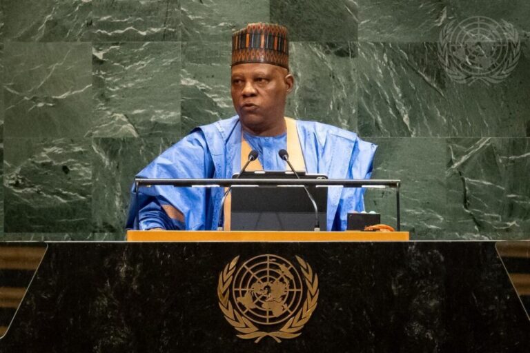 Kashim-Shettima-At-80th-UNGA-1045x697